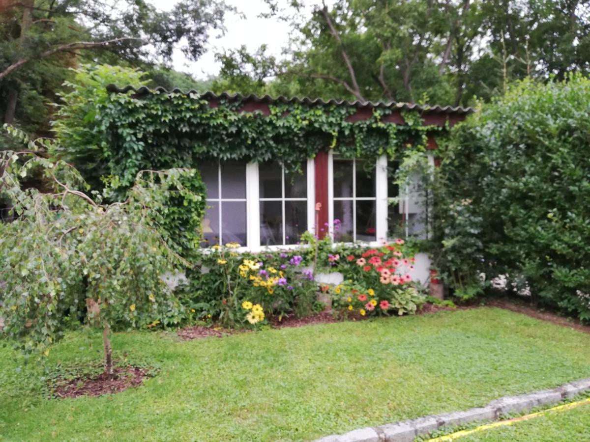 Ferienhaeuschen Gruber Villa Loosdorf Exteriör bild