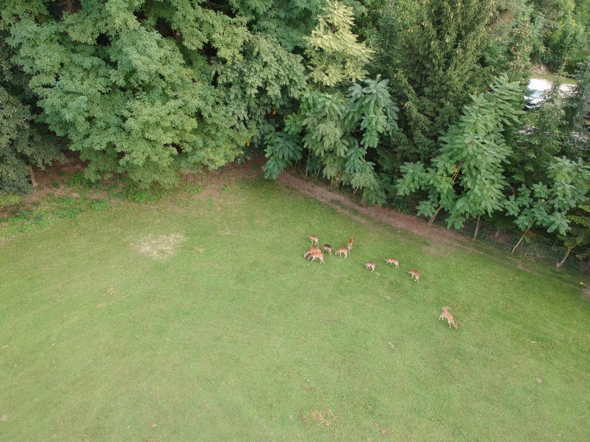 Ferienhaeuschen Gruber Villa Loosdorf Exteriör bild