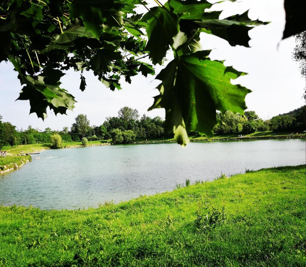 Ferienhaeuschen Gruber Villa Loosdorf Exteriör bild
